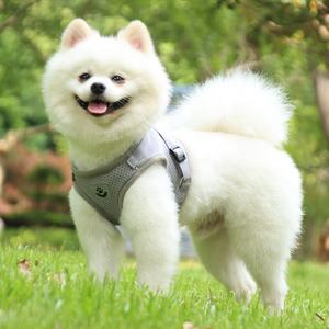 Jala lembut reflektif, <span class=keywords><strong>harness</strong></span> hewan peliharaan tanpa tarikan, tali kekang anjing dapat disesuaikan dengan set untuk berjalan - Product Image 2