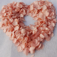Couronnes décoratives de pétales de rose et d'hortensia préservés avec source de lumière LED pour décorations de mariage