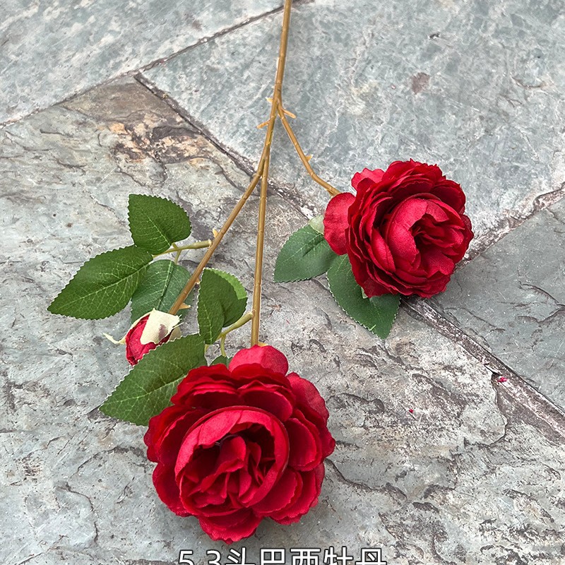 Rouge, 53 têtes de pivoine brésilienne rouge