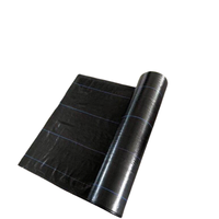 Rouleau de toile de paillage agricole en PP à prix attractif, durable, noir, anti-mauvaises herbes, perméable, respirant, durée de vie de 3 à 5 ans, 0,4 m x