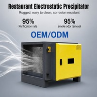 Précipitateur électrostatique commercial, éliminateur d'odeurs de fumée, facile à nettoyer, résistant à la corrosion, pour cuisine de restaurant