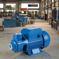 TECHNIC POWER 0.75HP QB70 0.55KW Pompe de jardin auto-amorçante Pompe à eau électrique Irrigation de surface