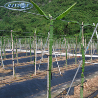 Nouveau produit : Rouleaux de tissu non tissé en polypropylène pour le contrôle des adventices en agriculture