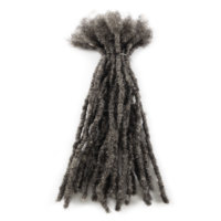 Anna in Stock Inter Extensions de Locs 100% Cheveux Humains Poivre et Sel #   Cheveux à tresser pour dreadlocks, emballage personnalisé, 8''10''12''x0.4cm