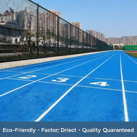 Granulés de caoutchouc EPDM personnalisés de haute qualité pour surface de terrain de sport écologique perméable – Fournisseur d'usine pour terrains universitaires