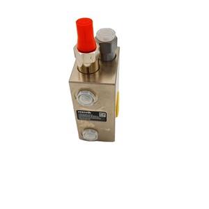 อะไหล่ปั๊มคอนกรีต บาลานซ์ R930051212 สำหรับรถปั๊มคอนกรีต - Product Image 6