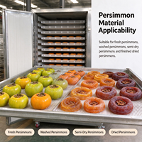 Équipement de séchage de kakis, machine de séchage de fruits commerciale avec circulation d'air chaud pour kakis frais