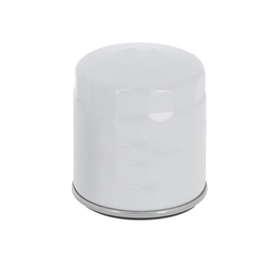 Filtro de Combustible para Camión de Alta Calidad P550127 SN 25106 SP903 F7751A 1092638700 95390 6640801 3I1591 3779851 24716008 74531050 2601702 - Product Image 4