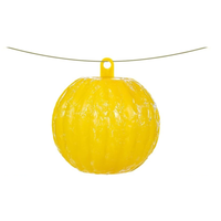 Pièges à moucherons Pièges à insectes volants Ball Outdoor Jetable Fruit Fly Trap Ball Green and Yellow Sticky Ball