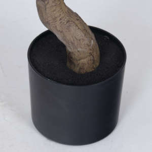 Plante artificielle en <span class=keywords><strong>pot</strong></span> en plastique Magnolia Denudata, décoration intérieure pour bureau, jardin, maison, plantes artificielles, plantes factices - Product Image 5