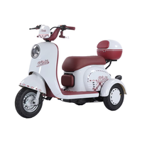 Scooter électrique à trois roues pour adultes et personnes âgées, tricycle ouvert pour 2 passagers, design luxueux, batterie au plomb-acide