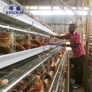 200 cages à poules pour la ponte à vendre, design moderne pour élevage de poulets - Product Image 6
