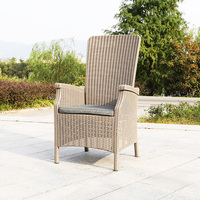 Fauteuils de salle à manger en rotin résistant aux intempéries Restaurant Garden Outdoor Porch