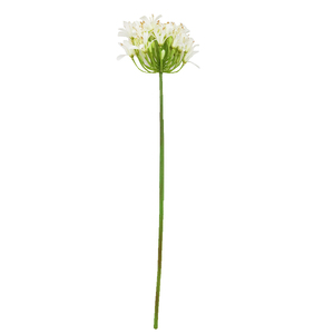 ก้านดอกอะกาแพนทัสประดิษฐ์ยาว 80 ซม. หลายสี ก้านดอกอะกาแพนทัสปลอม - Product Image 6
