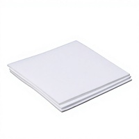 Marchepied d'escalier en PTFE résistant aux hautes températures pour Plastic King, personnalisable, découpe zéro, blanc, de Chine