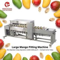 Hoge Efficiëntie Automatische Multi-head Mango Ontpitmachine 40 stuks/min Commerciële Voedselverwerkingsmotor 304 RVS