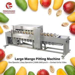 High Efficiency Automatic Multi-head Mango Pitting Machine 40pcs/min Commercial Food Processing Motor 304 Stainless Steel - Product Image 1