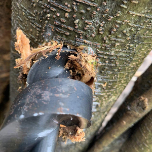 Broca Manual Multiusos de Madera de Ojo de Pájaro Recta DZ para Perforación Manual de Supervivencia - Product Image 6