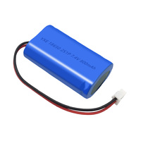 Grosir OEM/ODM kapasitas tinggi komersial 3.2V/3000mah baterai Lithium Ion isi ulang daya tahan lama 3000mah +