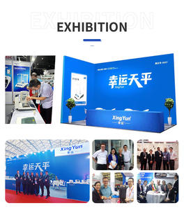 FA615N-SEM 0,00001g Elektronische Mikro-Waage 0,01mg Elektrisch 5-stellige Digitale Mikro-Analysewaage - Product Image 4