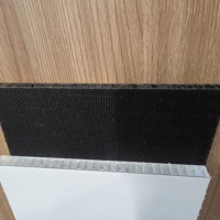 Panneau en nid d'abeille en fibre de verre résistant à la corrosion, logo personnalisé, noyau en PP, panneau composite recyclé pour maison modulaire mobile