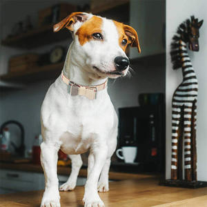 Pu Plaid Beige Fluwelen Strik Halsband Verstelbare Maat <span class=keywords><strong>Puppy</strong></span> Hond Bandana Halsband En Riem Set Hond Vlinderdas Kraag met Bel - Product Image 4