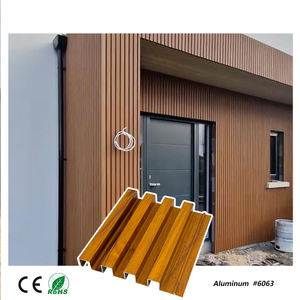 Tiandelvbai Usine Mur Rideau Profil Oxydation <span class=keywords><strong>Peinture</strong></span> En Aérosol Enduit Brun Extérieur En Aluminium Vague Panneaux Muraux Cannelés - Product Image 1