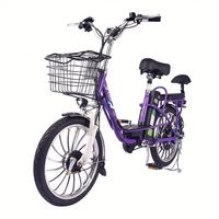 Roue de 20 pouces, cadre en alliage d'aluminium, moteur sans balais 48V/12Ah à 20Ah, vélo électrique de ville à batterie au lithium