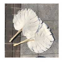 Nouvelle feuille de monstera naturelle de haute qualité pour la décoration intérieure