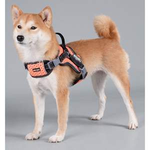 Arnés Deportivo para Perro DB, Color Naranja, Talla Pequeña, Reflectante, Cierre de Hebilla de Nailon - Product Image 2