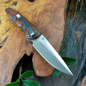 Vendita calda da campeggio portatile Mini coltello pieghevole in acciaio inox con manico in legno coltelli da sopravvivenza strumento EDC - Product Image 3