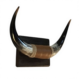 Decoración Rústica Ecológica de Estilo Animal, Hecha a Mano con Cuerno de Búfalo Natural, para Montar en la Pared, Tamaño Personalizado - Product Image 1