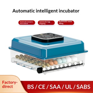 Incubateur d'œufs rectangulaire domestique, petit incubateur pour poulets, canards, oies, cailles, avec conservation <span class=keywords><strong>de</strong></span> la chaleur - Product Image 4