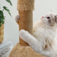 Tour à chat moderne en bois, grande structure d'escalade avec lit capsule transparente, griffoir en sisal, maison multi-niveaux pour animaux de compagnie