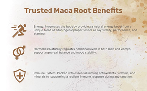 <span class=keywords><strong>Maca</strong></span> Pó para Homens Macamide 0,6% Black <span class=keywords><strong>Maca</strong></span> <span class=keywords><strong>Root</strong></span> <span class=keywords><strong>Extract</strong></span> Pó - Product Image 4