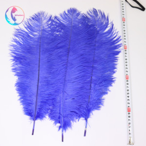 Bán buôn trực tiếp từ nhà máy lông đà điểu nhuộm màu 40-45cm, nhiều màu sắc, dùng cho trang trí tiệc, đèn, thủ công, tường, đám cưới - Product Image 6