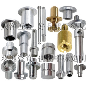 Tianyang Hardware Connecting Pins Rivets Steps Male Female Screws Sensor Probes Double Threaded Nuts High Precision Machined - Product Image 1