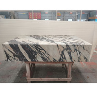 SH STONE Table Basse Socle Nordique Moderne Forme Rectangulaire Marbre Calacatta Violet Viola de Luxe pour Salon Décoration Intérieure
