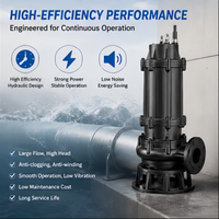 Pompe submersible antidéflagrante 50QWE en fonte pour eaux usées souterraines de stations-service et applications chimiques