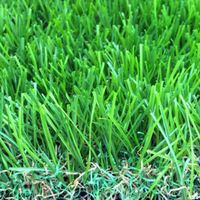 AVG Beste Qualität Günstiger Künstlicher Naturgras-Samen-Teppich für Garten Kunstrasen-Matte