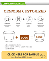 Boîte en plastique transparente très vendue, 300 ml, boîte en plastique de qualité alimentaire, boîte en plastique PP pour glace avec couvercle et poignée, récipient de stockage alimentaire