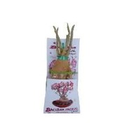 Autocollant magnétique pour réfrigérateur en forme d'arbre Baobab, prix raisonnable, vente en gros