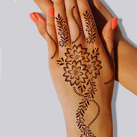 Pochoirs Tatouage DIY Personnalisés OEM pour Body Art, Réutilisables, Temporaires, Henné Indien avec Poudre Pailletée, Matériau PVC