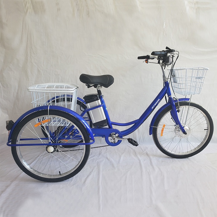 Trova le migliori vendo triciclo per adulti usato Produttori e vendo  triciclo per adulti usato per italian Speaker Mercato in alibaba.com
