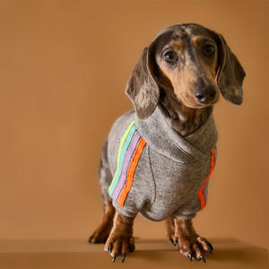 Qiqu pull à col roulé <span class=keywords><strong>teckel</strong></span> personnalisé pour chiens manches à rayures multicolores mignon nouveau maillot de fournitures pour animaux de compagnie - Product Image 2