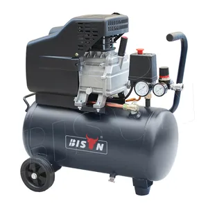 Bison China 24L 120V Direct Drive Air Compressor Taizhou Industrial 60Hz Direct Driven Reciprocating Air Compressor