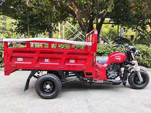 Precio del fabricante Motor <span class=keywords><strong>de</strong></span> gasolina Triciclo <span class=keywords><strong>de</strong></span> carga Entrega <span class=keywords><strong>de</strong></span> 3 ruedas con precio bajo - Product Image 5