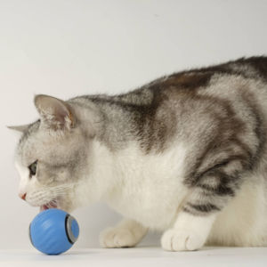 Giocattoli per gatti interattivi per interni giocattoli per gatti per interni che rotolano velocemente sul tappeto cinguettio e movimento - Product Image 5