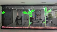 Écran LED transparent flexible couleur pleine pour intérieur, écran LED transparent P6 pour intérieur