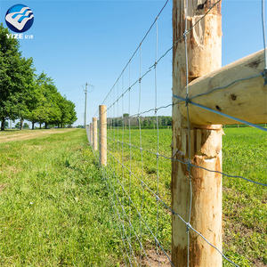 Clôture <span class=keywords><strong>de</strong></span> cerf <span class=keywords><strong>de</strong></span> 4 pieds <span class=keywords><strong>de</strong></span> haut anti-hauteur <span class=keywords><strong>de</strong></span> jardin pour arbre à chien Haute tension Galvanisée trempée à chaud Noeud fixe gradué - Product Image 6